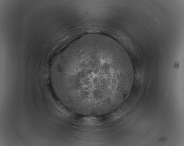 X0000097770367200803071323