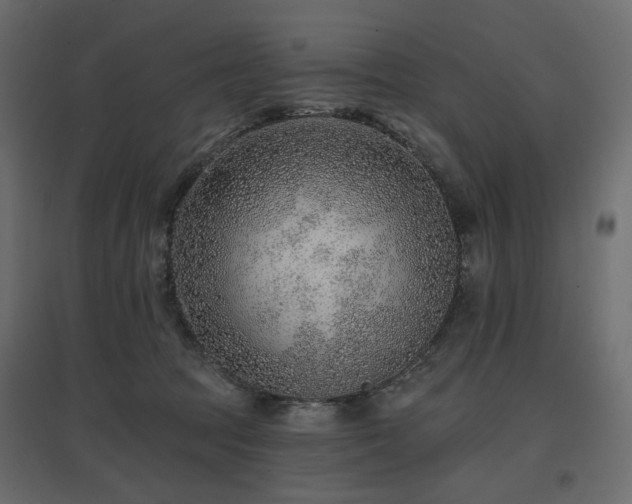X0000097770369200803071323