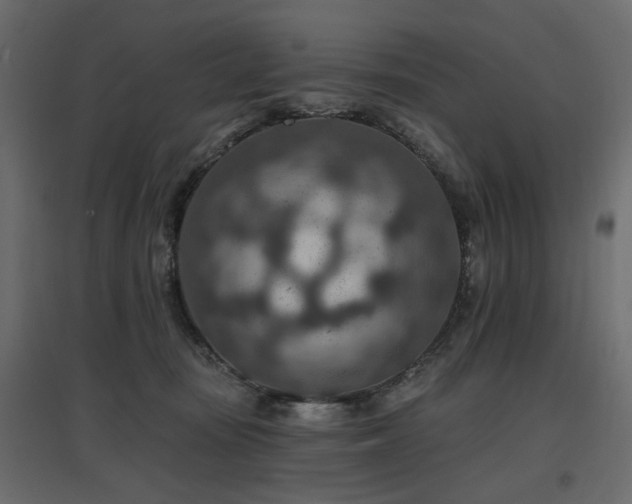 X0000097770371200803071323