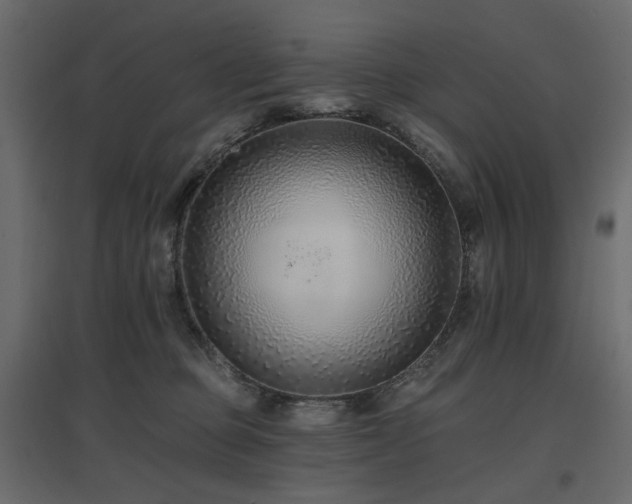X0000097770373200803071323