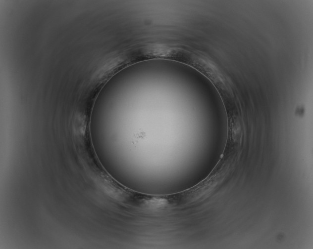 X0000097770374200803071323