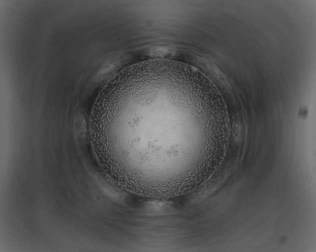 X0000097770375200803071323