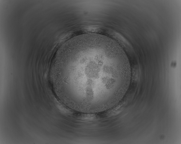 X0000097770377200803071323