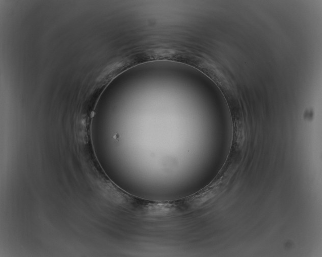 X0000097770378200803071323