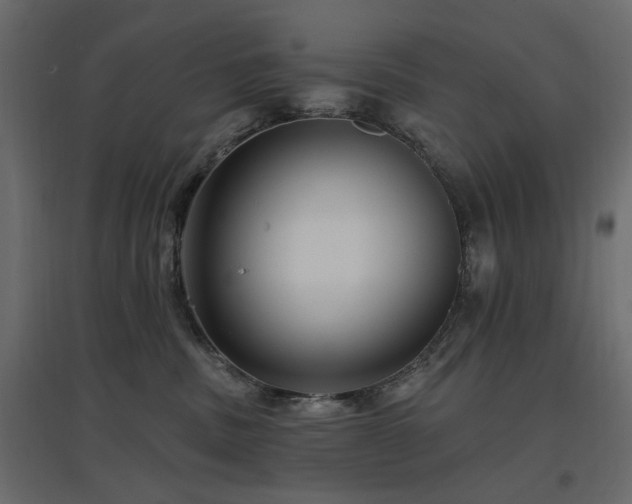 X0000097770379200803071323