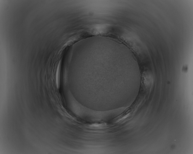 X0000097770380200803071323