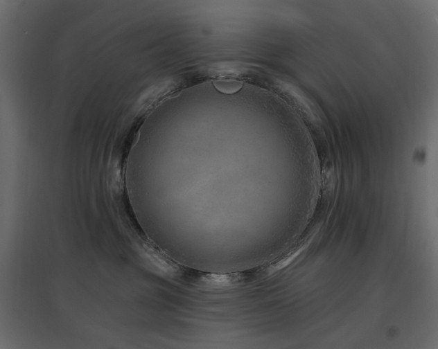 X0000097770381200803071323
