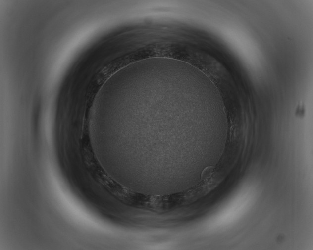 X0000097770383200803071323