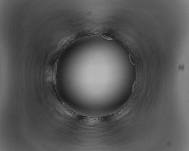 X0000097770384200803071323