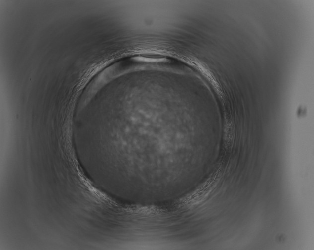 X0000097770385200803071322