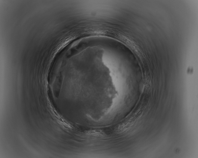 X0000097770386200803071322