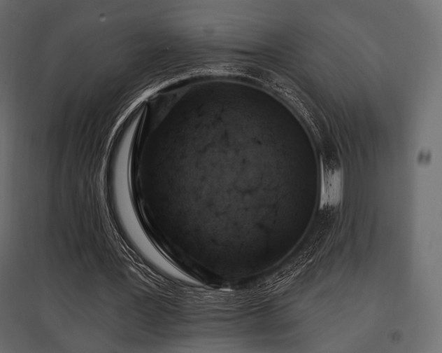 X0000097770387200803071322