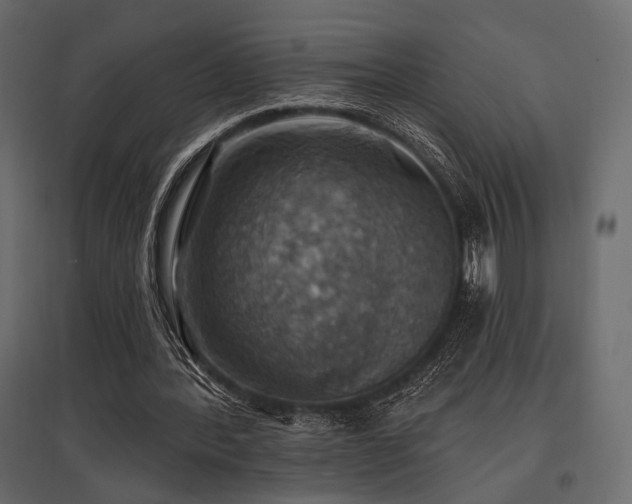 X0000097770388200803071322