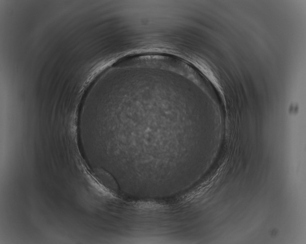 X0000097770389200803071322