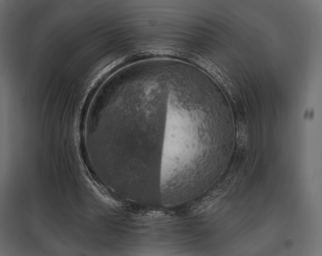 X0000097770390200803071322