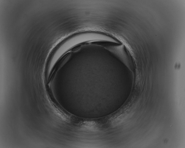 X0000097770391200803071322