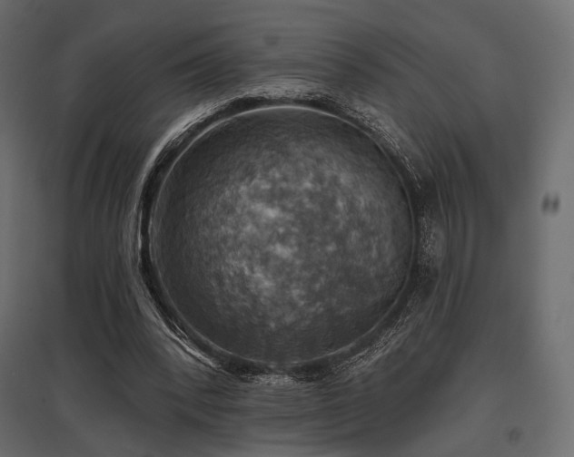 X0000097770392200803071322