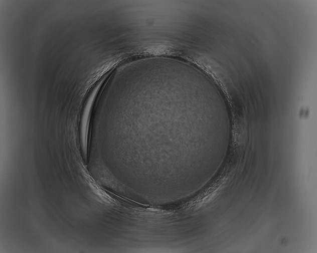 X0000097770393200803071322