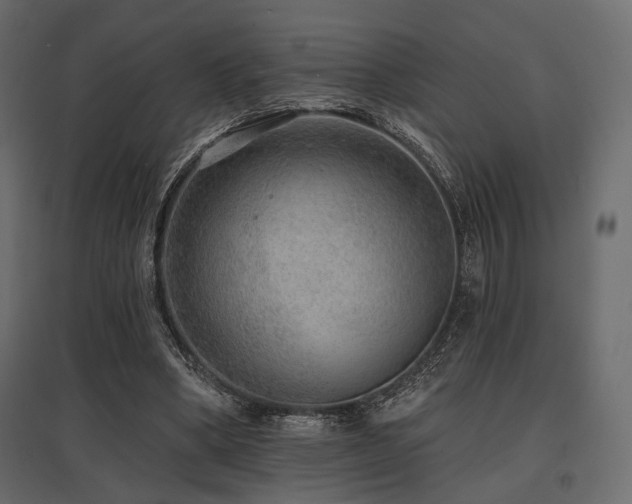 X0000097770394200803071322
