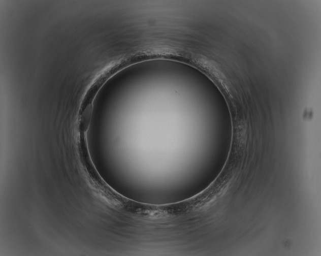 X0000097770395200803071322
