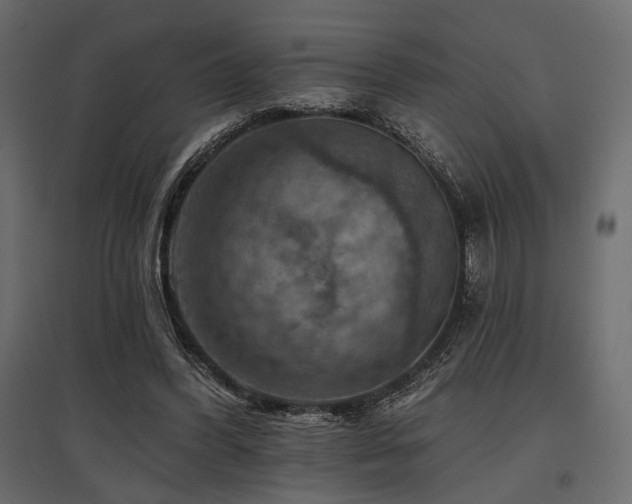 X0000097770396200803071322