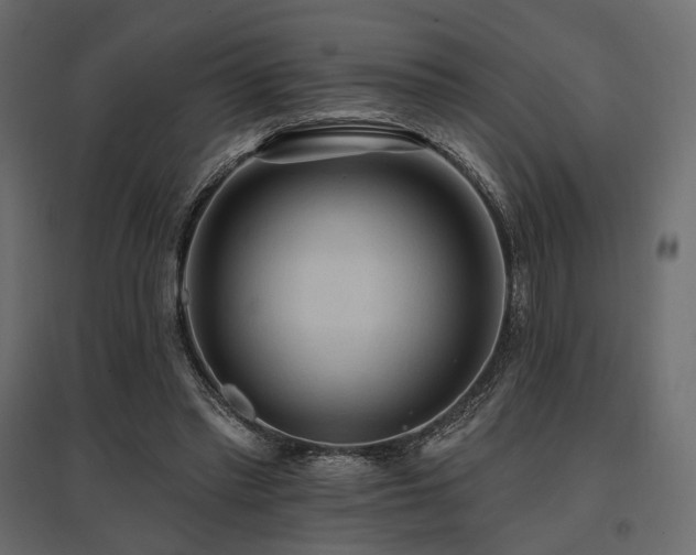 X0000097770397200803071322