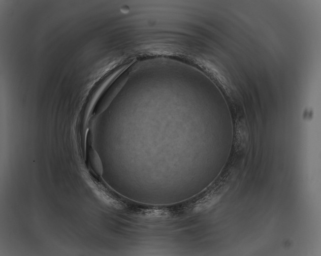 X0000097770398200803071322