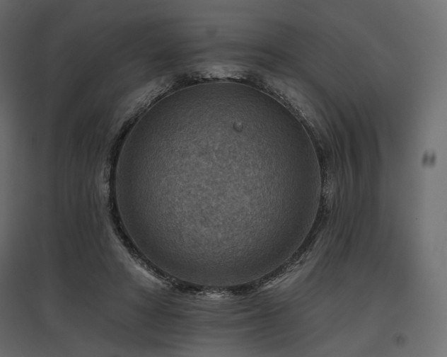 X0000097770402200803071322