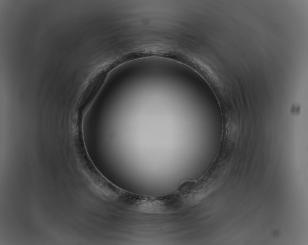X0000097770403200803071322