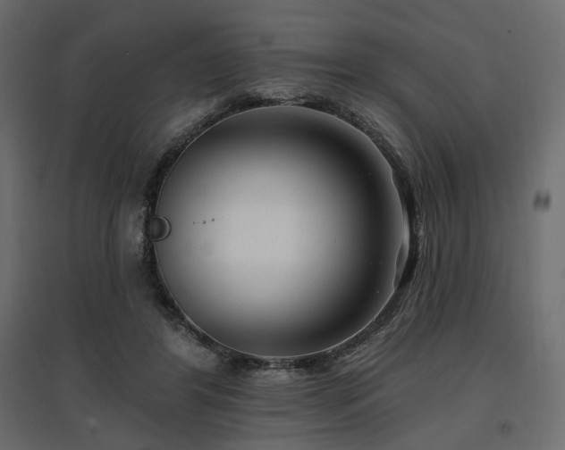X0000097770404200803071322