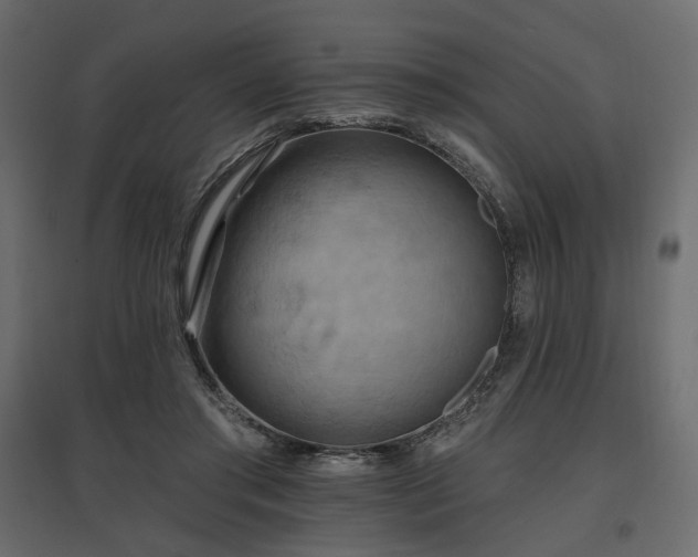 X0000097770405200803071322