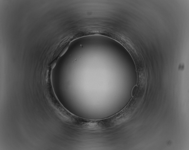 X0000097770406200803071322