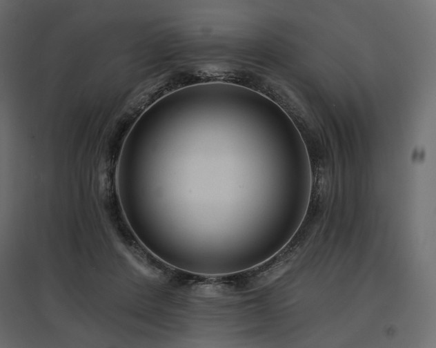 X0000097770408200803071322