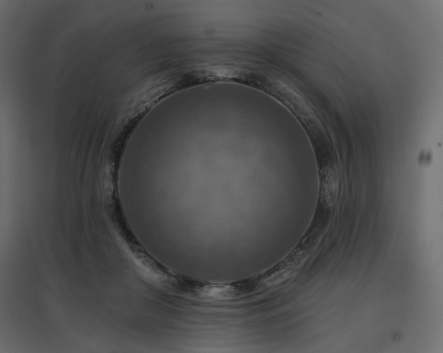 X0000097770410200803071322
