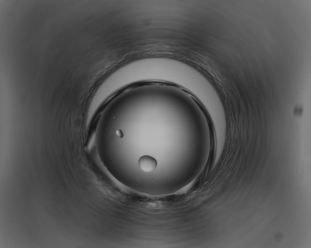 X0000097770411200803071322