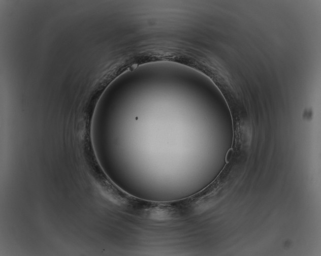 X0000097770412200803071322