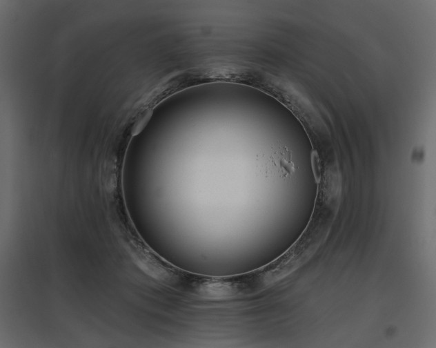 X0000097770413200803071322