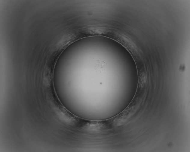 X0000097770414200803071322