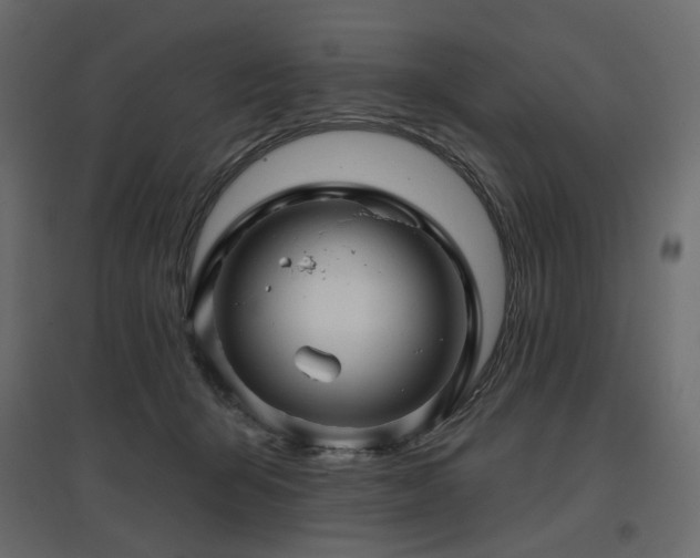 X0000097770415200803071322