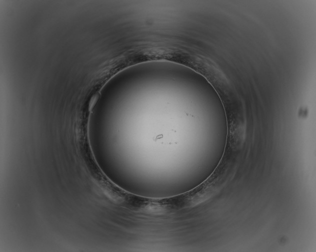 X0000097770416200803071322