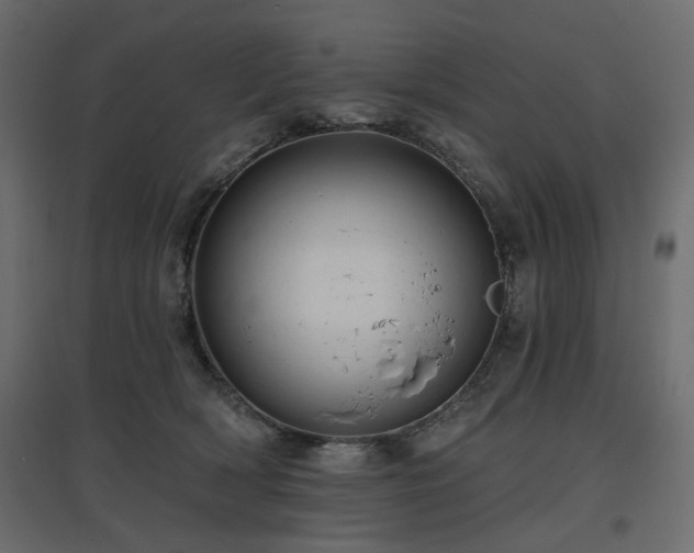 X0000097770418200803071322