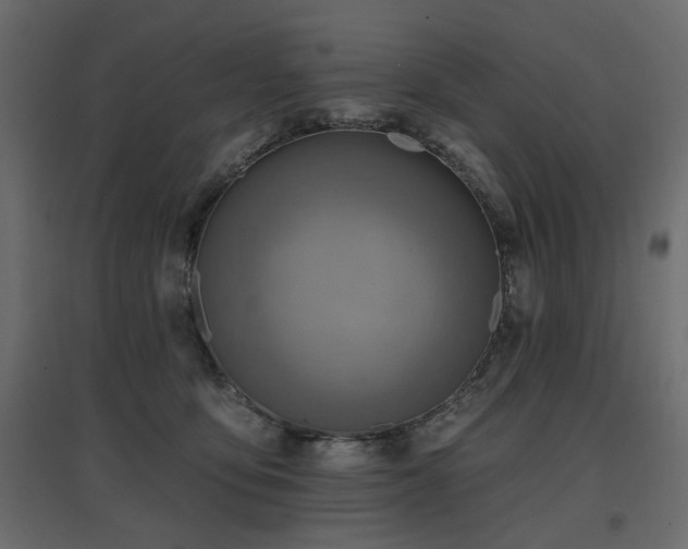 X0000097770419200803071322