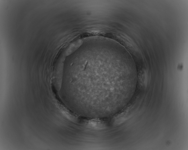 X0000097770420200803071322