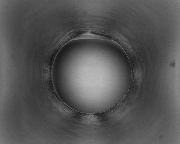 X0000097770421200803071322
