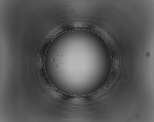 X0000097770422200803071322