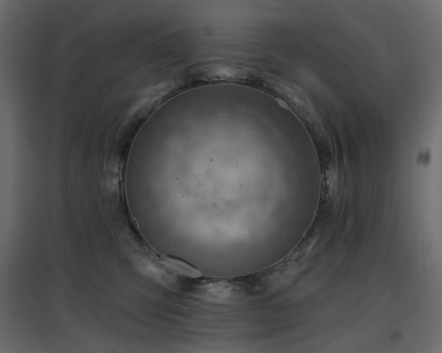 X0000097770423200803071322