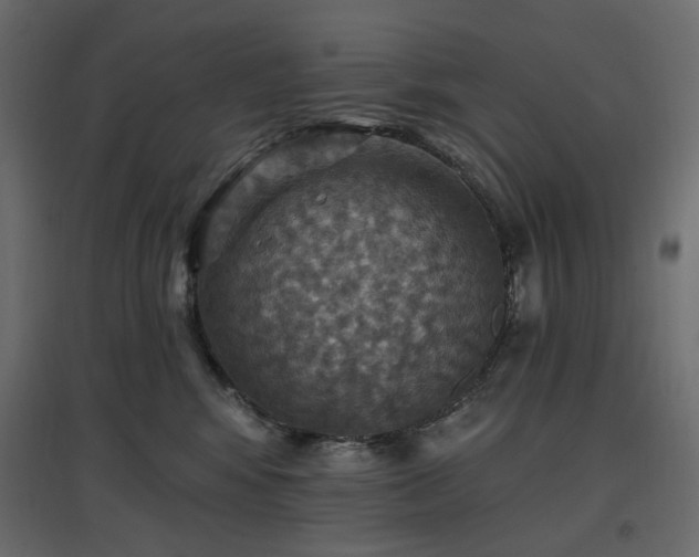 X0000097770424200803071322