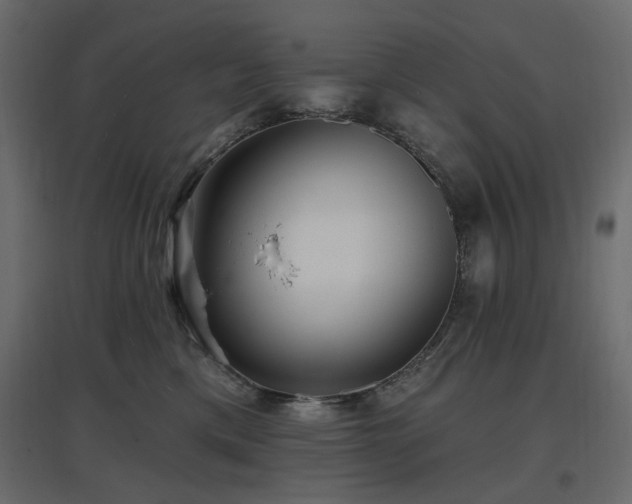 X0000097770425200803071322
