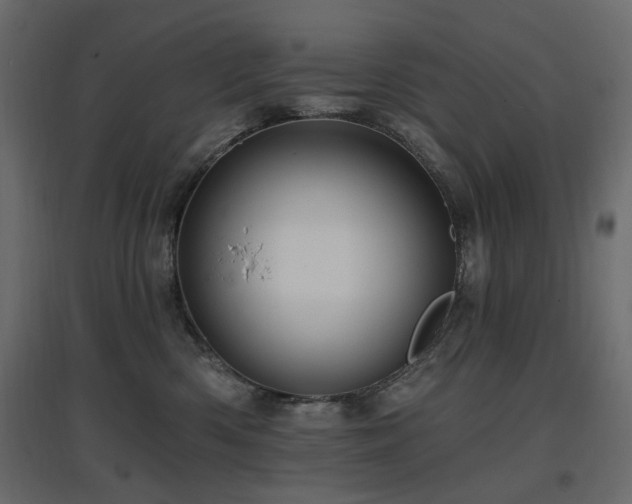 X0000097770426200803071322
