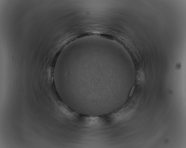 X0000097770428200803071322